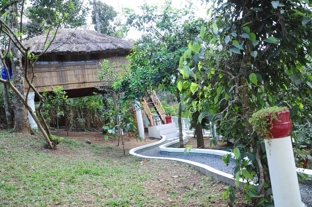 Green Ark Resorts Thekkady Esterno foto