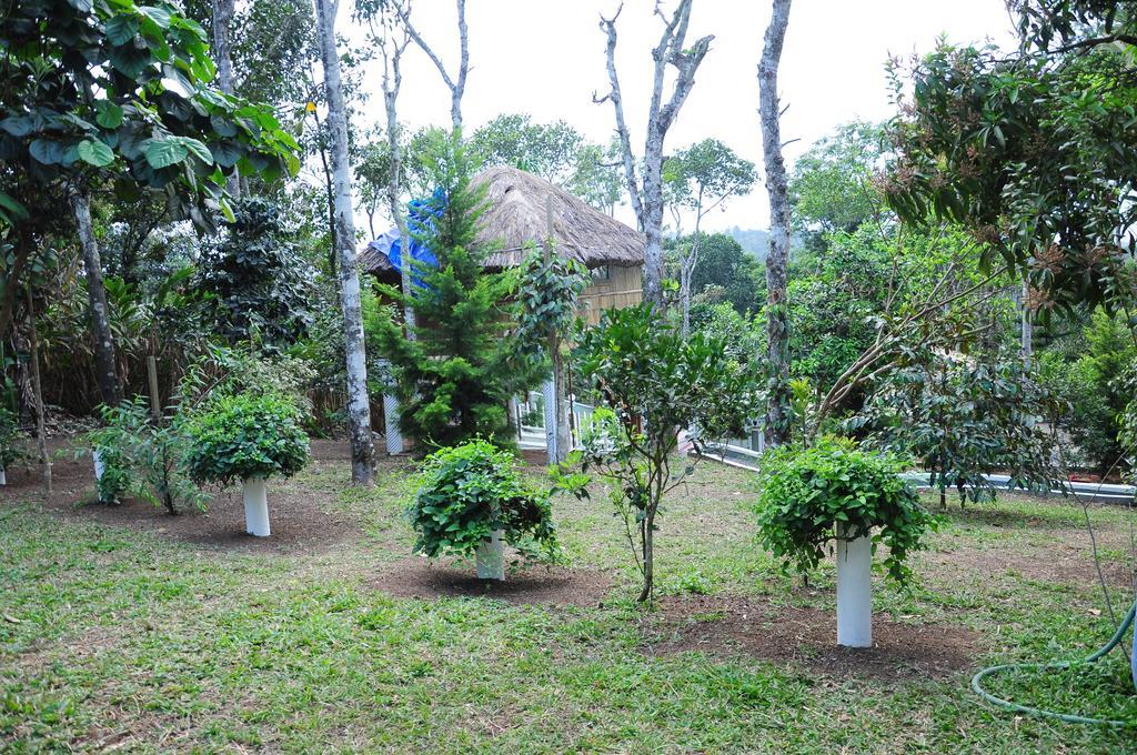 Green Ark Resorts Thekkady Esterno foto